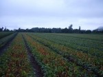 [21-04-2011 052.jpg]